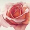 Magnificence III Poster Print by Yvonne Poelstra-Holzhaus - Item # VARPDXGA0116308
